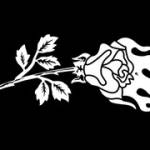civilregime civilregime Profile Picture