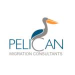Pelican Migration Consultants Profile Picture