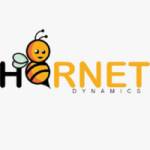 Hornetdynamics Profile Picture