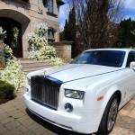 Party Bus Rentals Toronto Profile Picture
