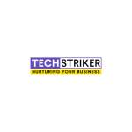 Tech Striker Profile Picture