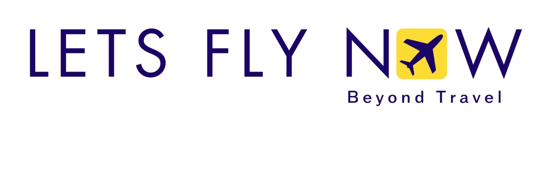 Lets Fly Now Cover Image