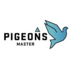 Pigeons Master Profile Picture