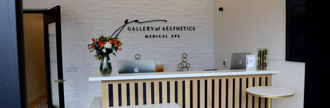 Galleryof Aesthetics Cover Image