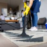 alpinecleaning services Profile Picture