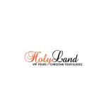 Holy Land VIP tours Profile Picture