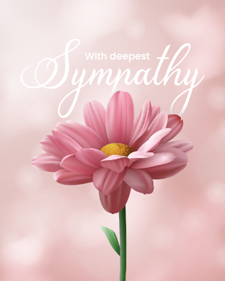 Free Sympathy & Condolences Cards | Sympathy Cards Online