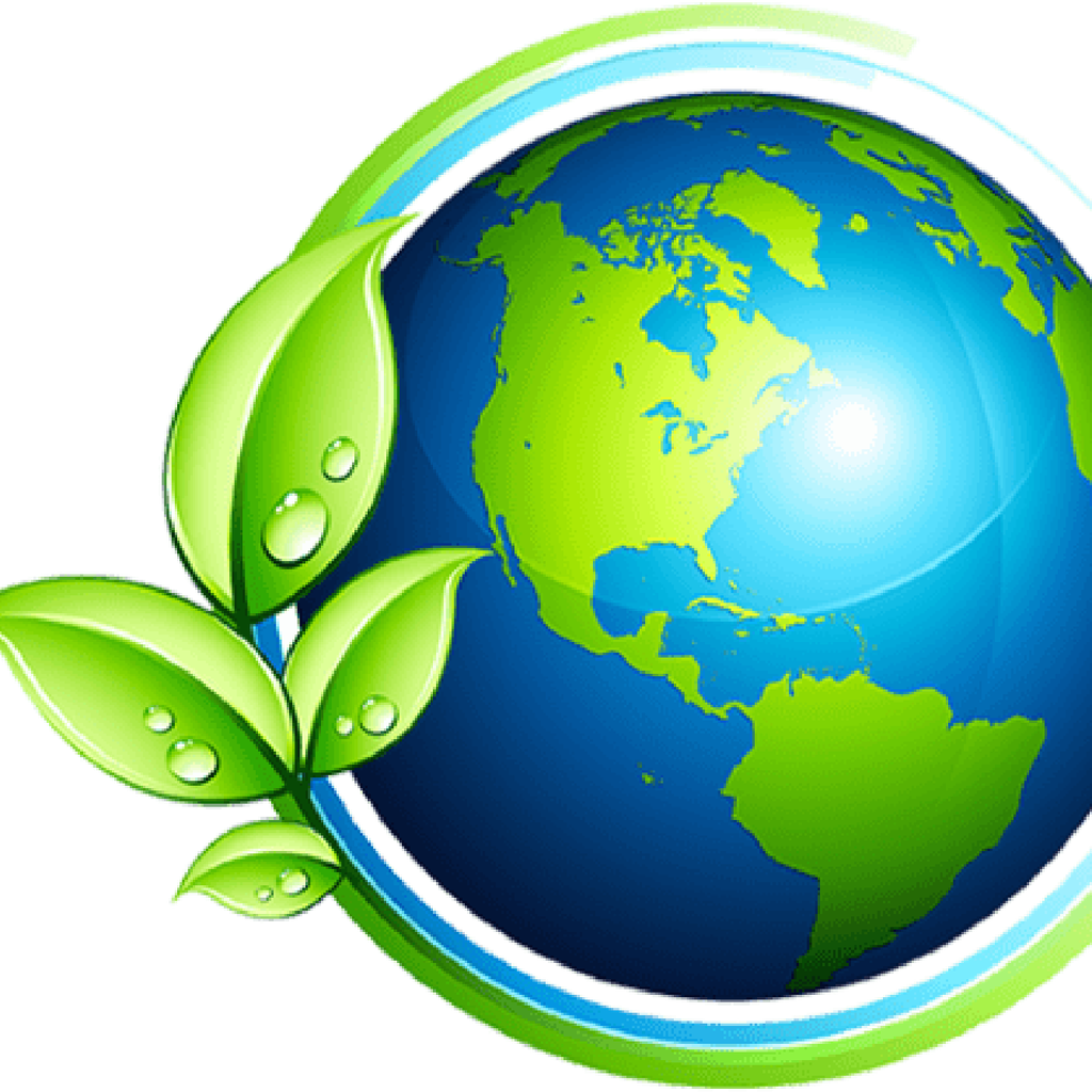 Rainforest Eco Cleaning's Card