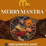MerryMantra MerryMantra Profile Picture