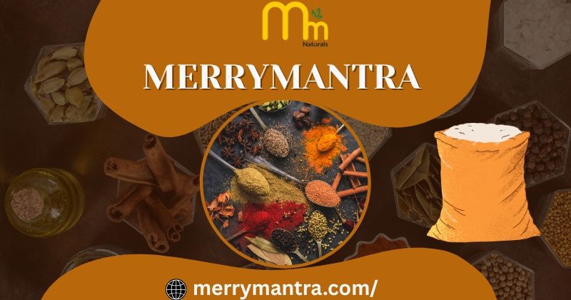 MerryMantra MerryMantra Profile Picture