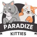 Paradize Kitties Profile Picture