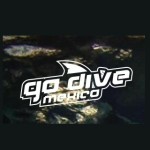 Go Dive Mexico Profile Picture