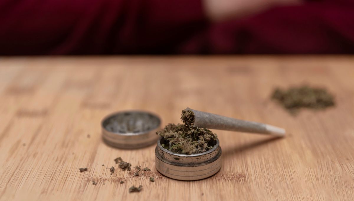Buy Pot Online in Canada Like a Pro: What Newbies and Regulars Should Know
