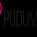 Pudumjee Paper Products Profile Picture