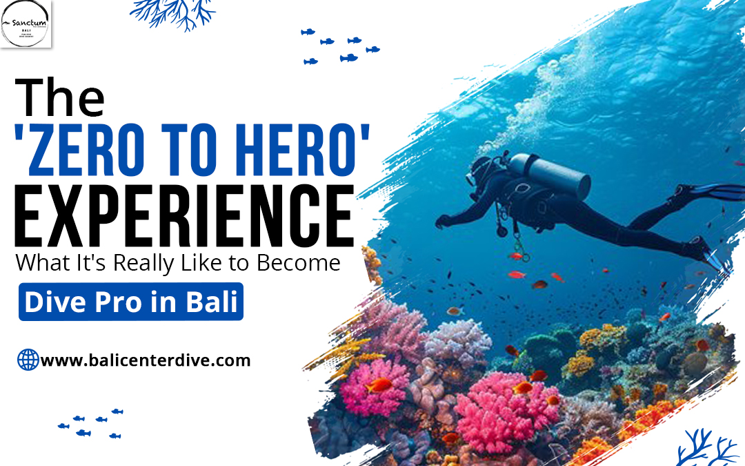 The ‘Zero to Hero’ Experience — What It’s Really Like to Become a Dive Pro in Bali – Site Title