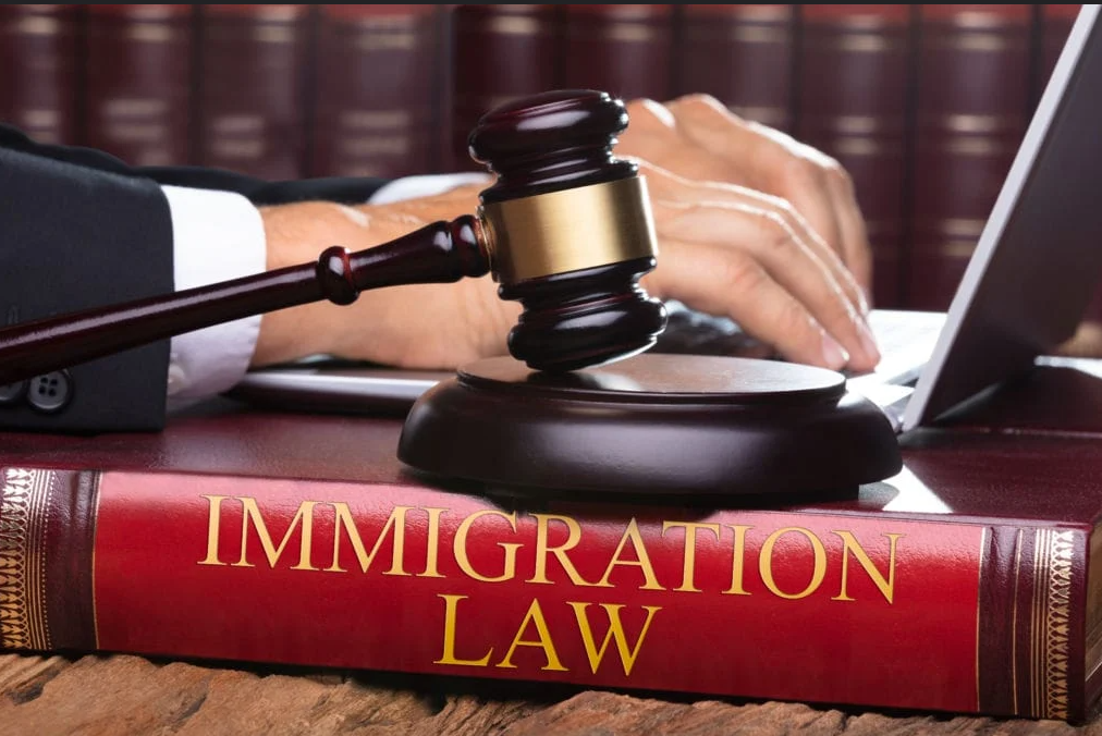 How To Choose The Best Immigration Lawyers in California? |...