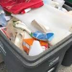 Affordable Rubbish Removal North Surrey Profile Picture