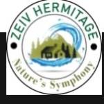 Zeiv hermitage Profile Picture