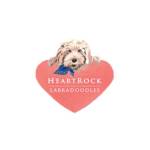 heartrocklabradoodles Profile Picture