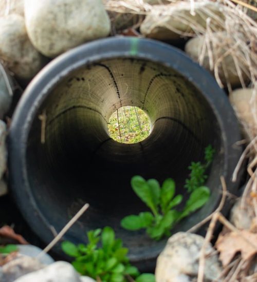 Keep Your Basement Dry and Your Home Protected