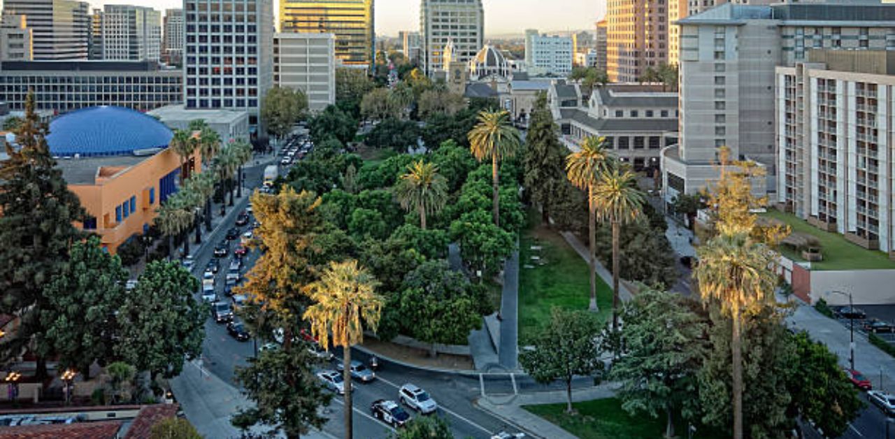 Turkish Airlines San José Office in California +1-888-839-0512
