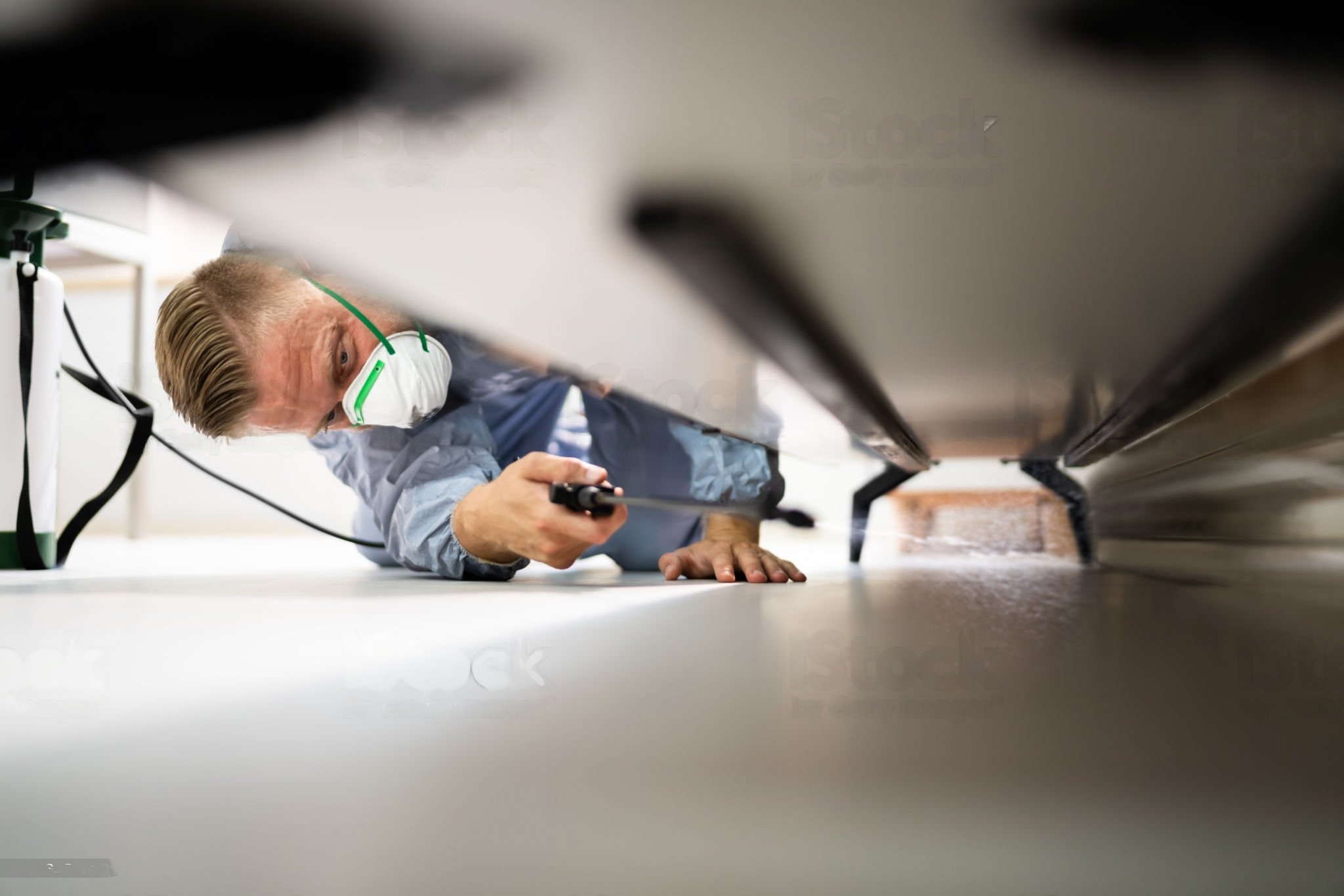 About Us - City Icon Pest Control And Cleaning