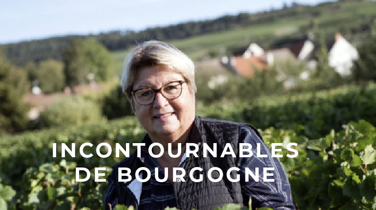 Dégustation de vins de Dijon : Explorez les bourguignonnes