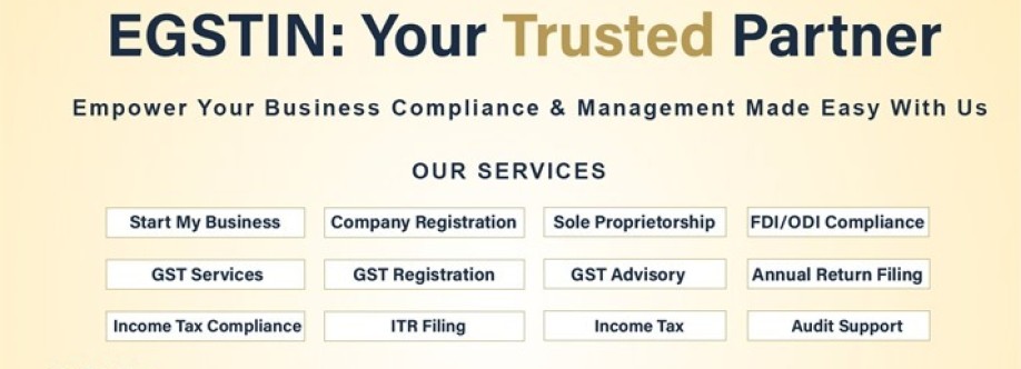 EGSTIN Consultant Cover Image