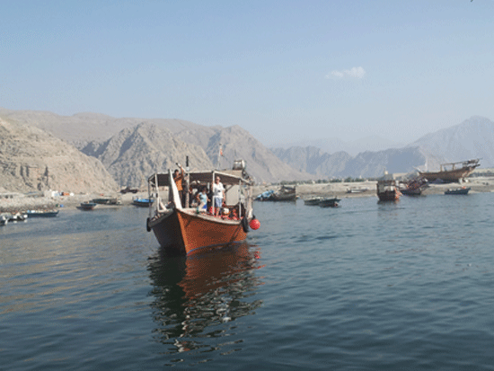 Book Musandam Camping in Oman - Dolphin Musandam Tours