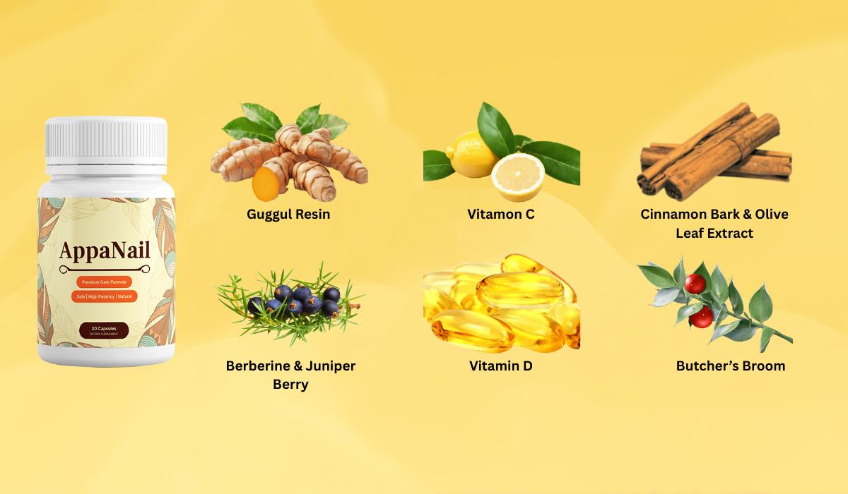 AppaNail Supplement Review: Benefits, Safety & Effectiveness Explained – Site Title