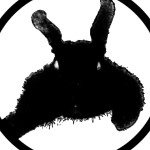 Basketcase Profile Picture
