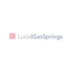 Lucid  Gas Spring Profile Picture