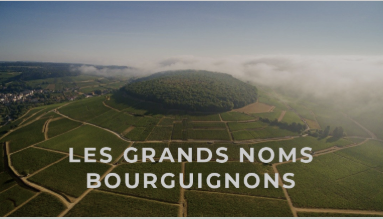 Producteur de Vin Direct en Ligne : Une Nouvelle Façon d’Acheter et de Déguster le Vin | by La Cave Du Chaignot | Sep, 2025 | Medium