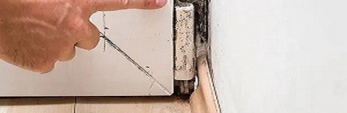 Mould Doctors Cover Image