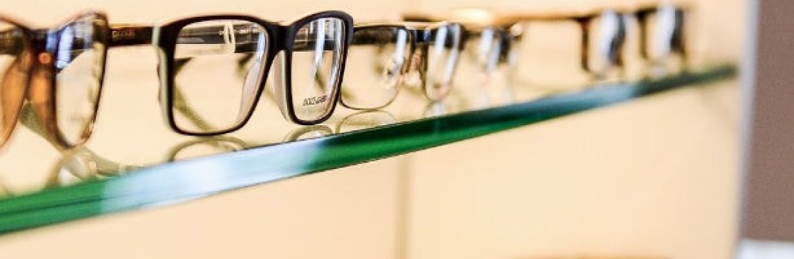 Romin Optical Cover Image