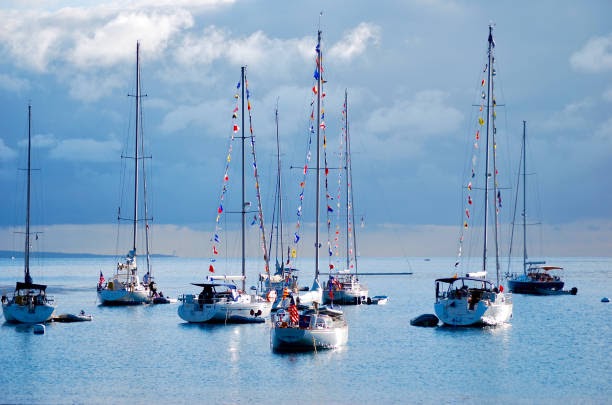 Catalina 250 Sails: A Comprehensive Guide for Sailors