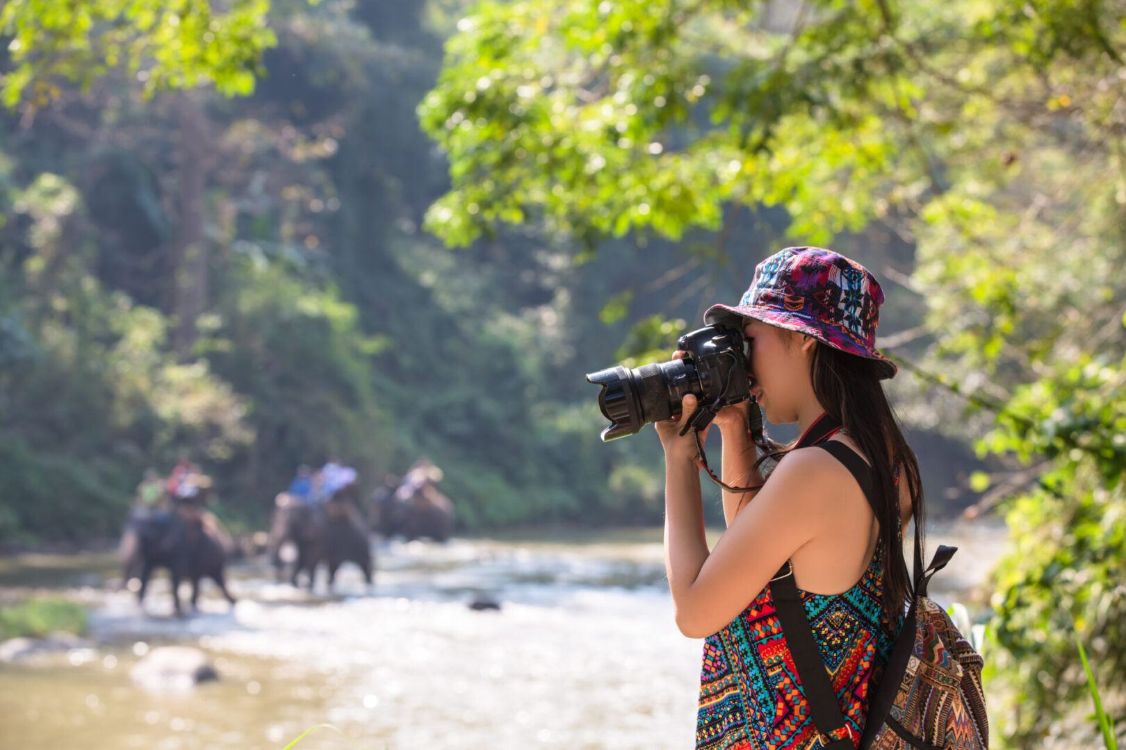 Heritage Tours, Sustainable Travel and Attractions Nearby with Point B