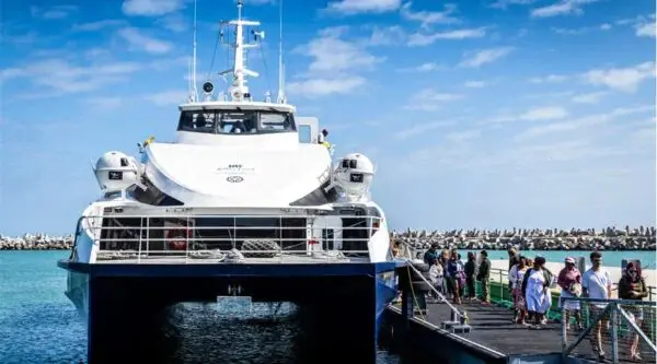 Why Our Cape Town Tour Packages Are Perfect for First-Time Visitors - Point B Travel