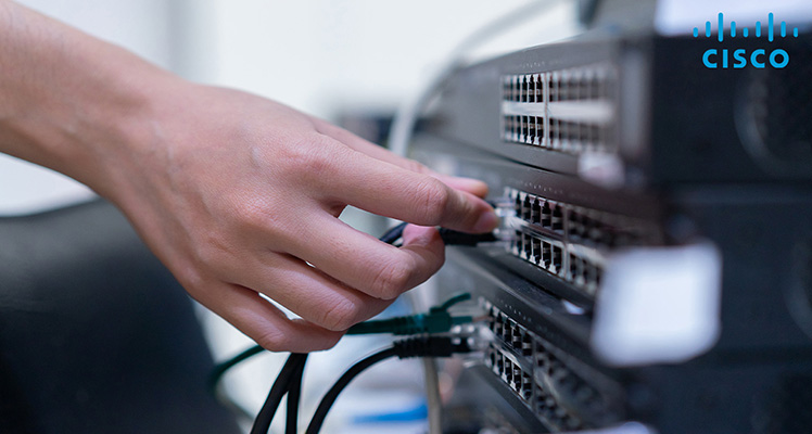 Cisco Unmanaged Network Switches Supplier & Dealer in India | Radiant Info Solutions