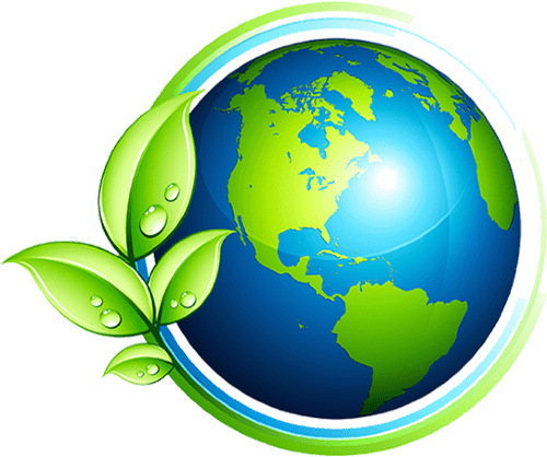 Eco-Friendly Green Cleaning Services in Seattle | Rainforest