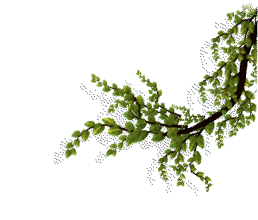 Top builder & real estate company in noida | M3M India