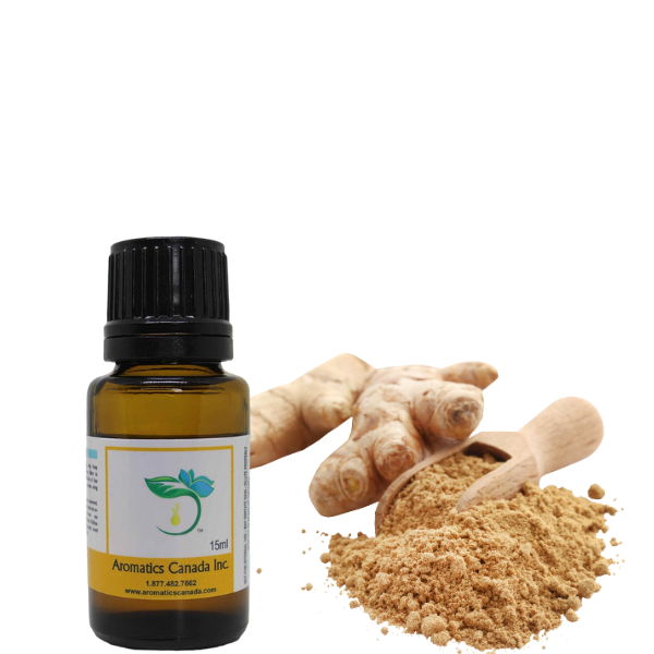 Ginger Essential Oil – Organic & Bulk Supply Available