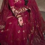 Gulbhahar Gulbhahar Profile Picture