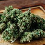 HempShop 247 Profile Picture