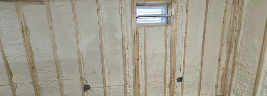 South Chicago Insulation Cover Image