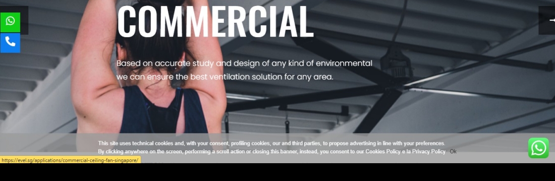 Evel Singapore Cover Image