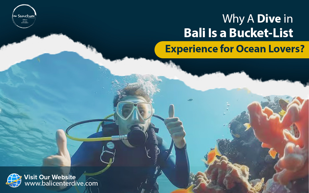 Why A Dive in Bali Is a Bucket-List Experience for Ocean Lovers? – Site Title