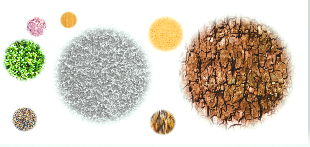 Psychology of Consistent Training in Competitive Sports |...