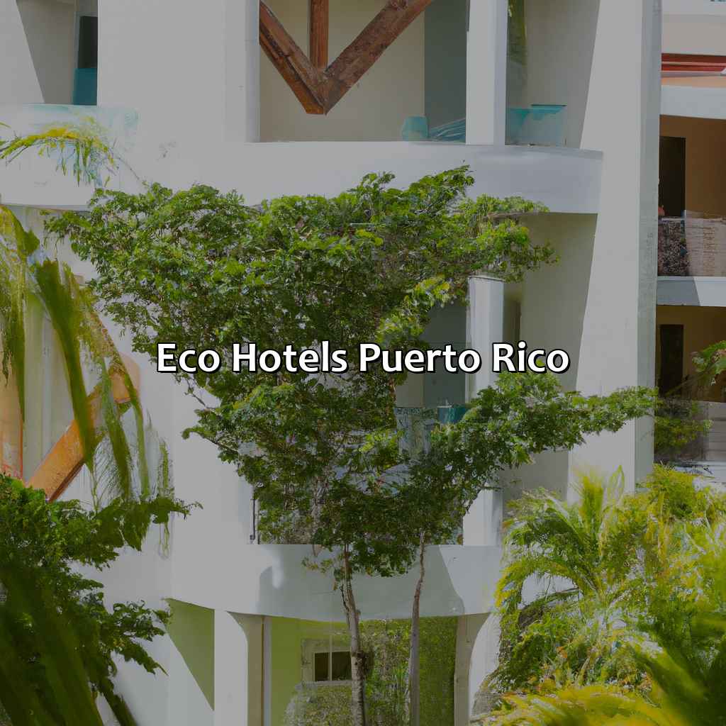 Eco Hotels Puerto Rico - KTJ Krug