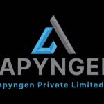 Capyngen Itservices Profile Picture